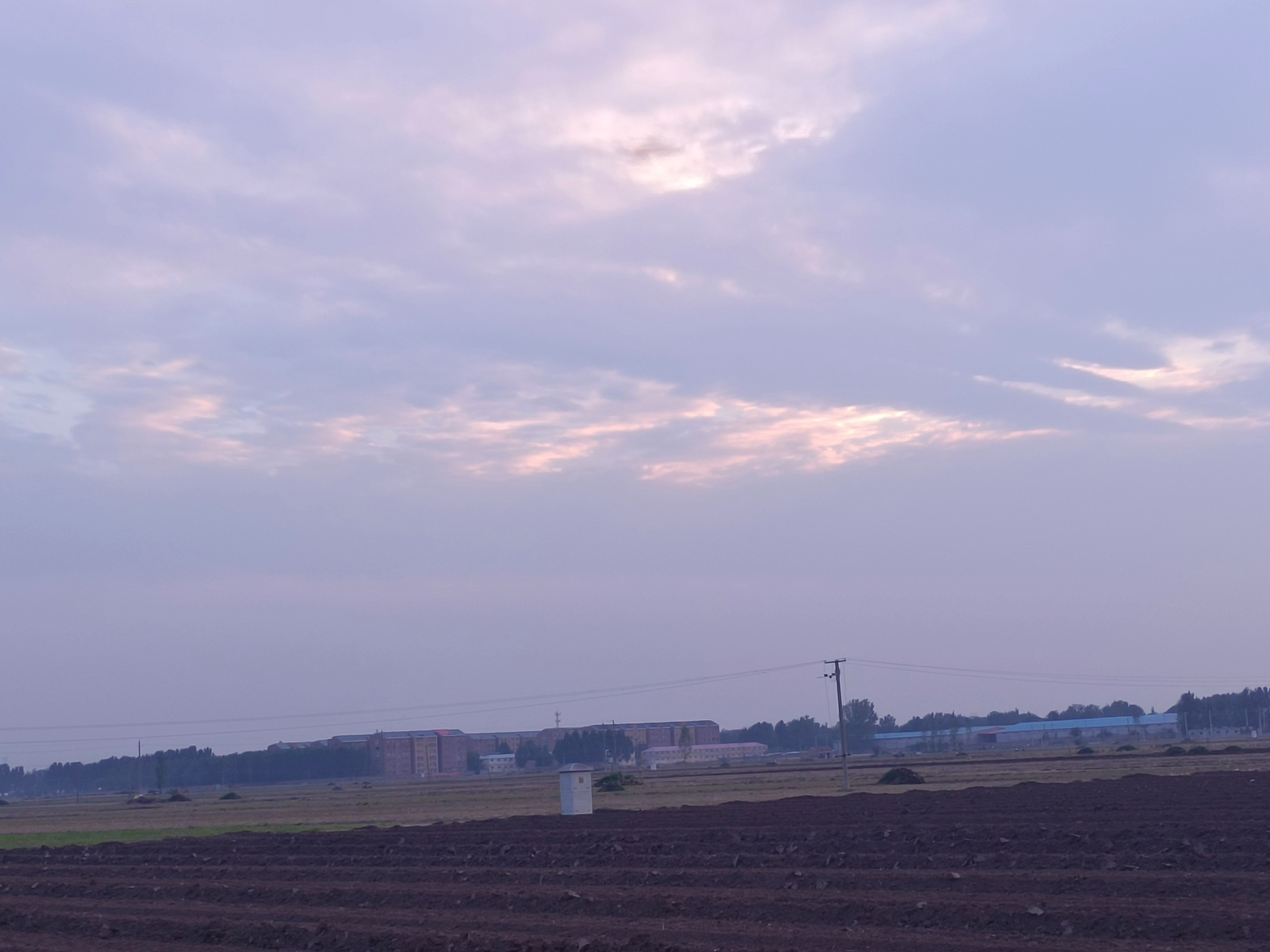 小麦里的夕阳